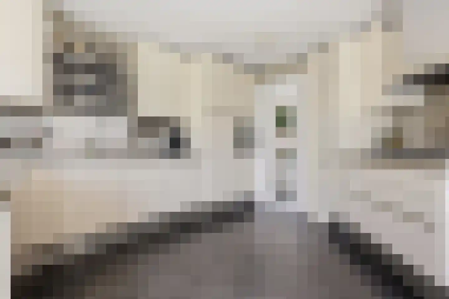 Delftsingel 38 C Assendelft thumbnail 20