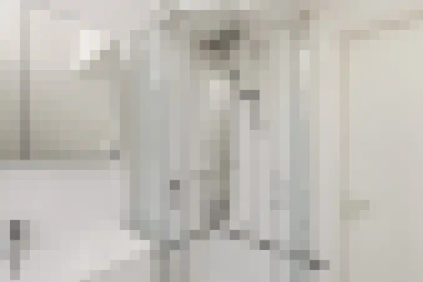 Delftsingel 38 C Assendelft thumbnail 37