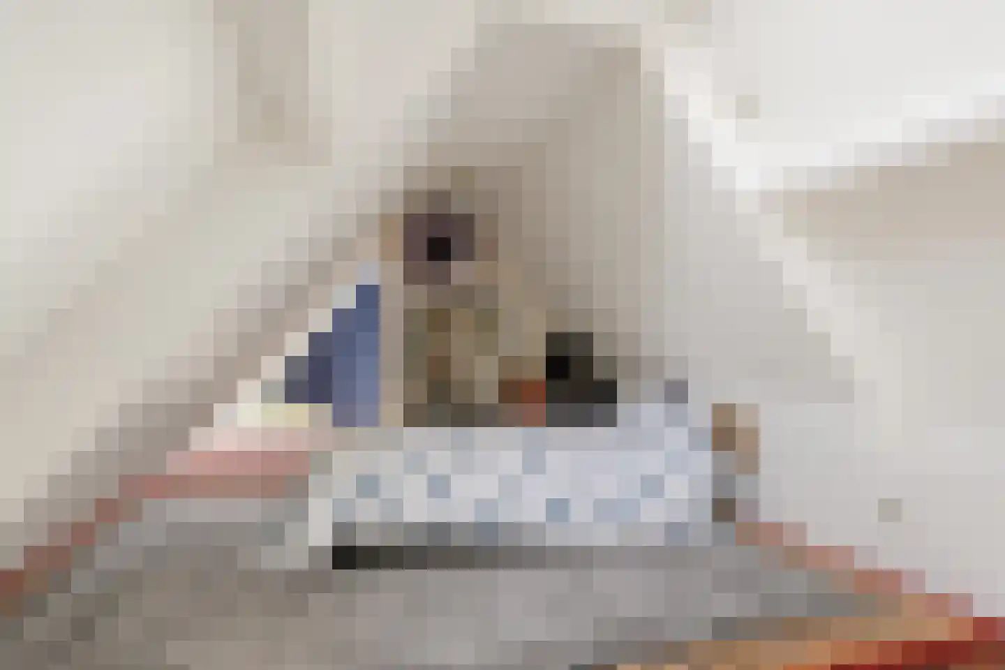 Delftsingel 38 C Assendelft thumbnail 38