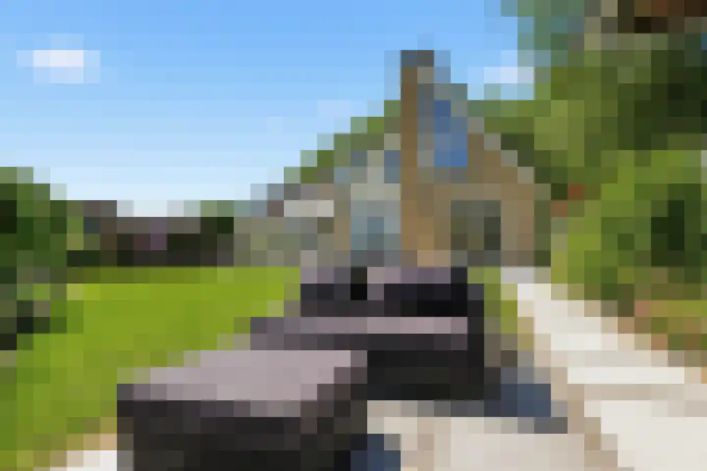 Delftsingel 38 C Assendelft thumbnail 43