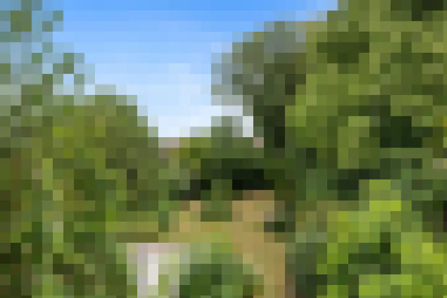 Delftweg 10 Rotterdam thumbnail 64