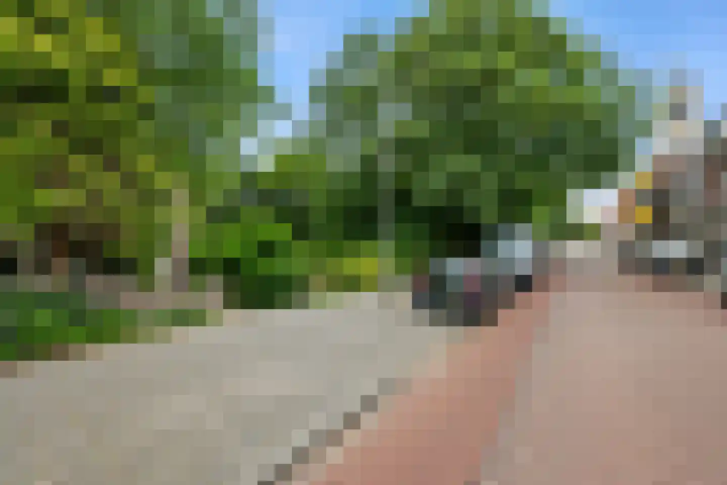 Delftweg 10 Rotterdam thumbnail 83