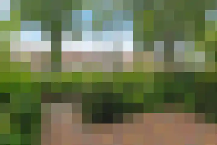 Delftweg 114 Rijswijk thumbnail 31