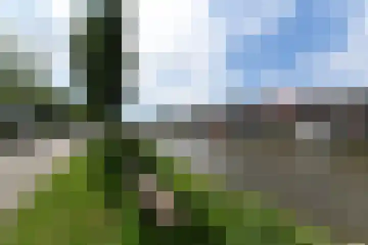 Delftweg 114 Rijswijk thumbnail 34