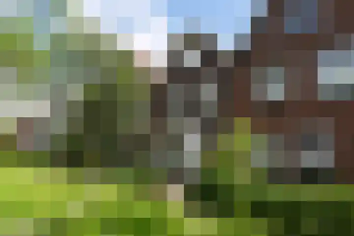 Delftweg 114 Rijswijk thumbnail 48