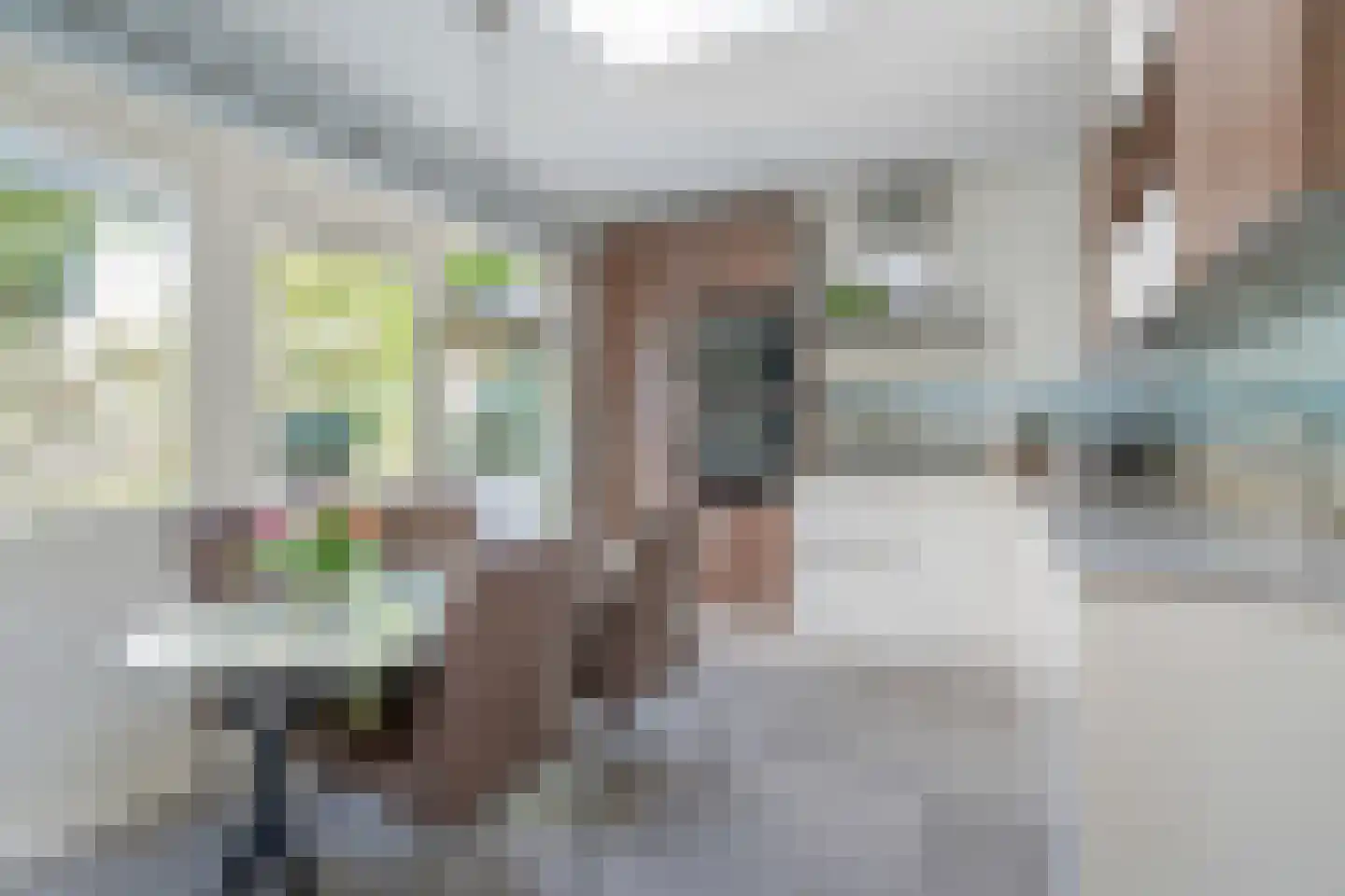 Delftweg 121 Rijswijk thumbnail 22