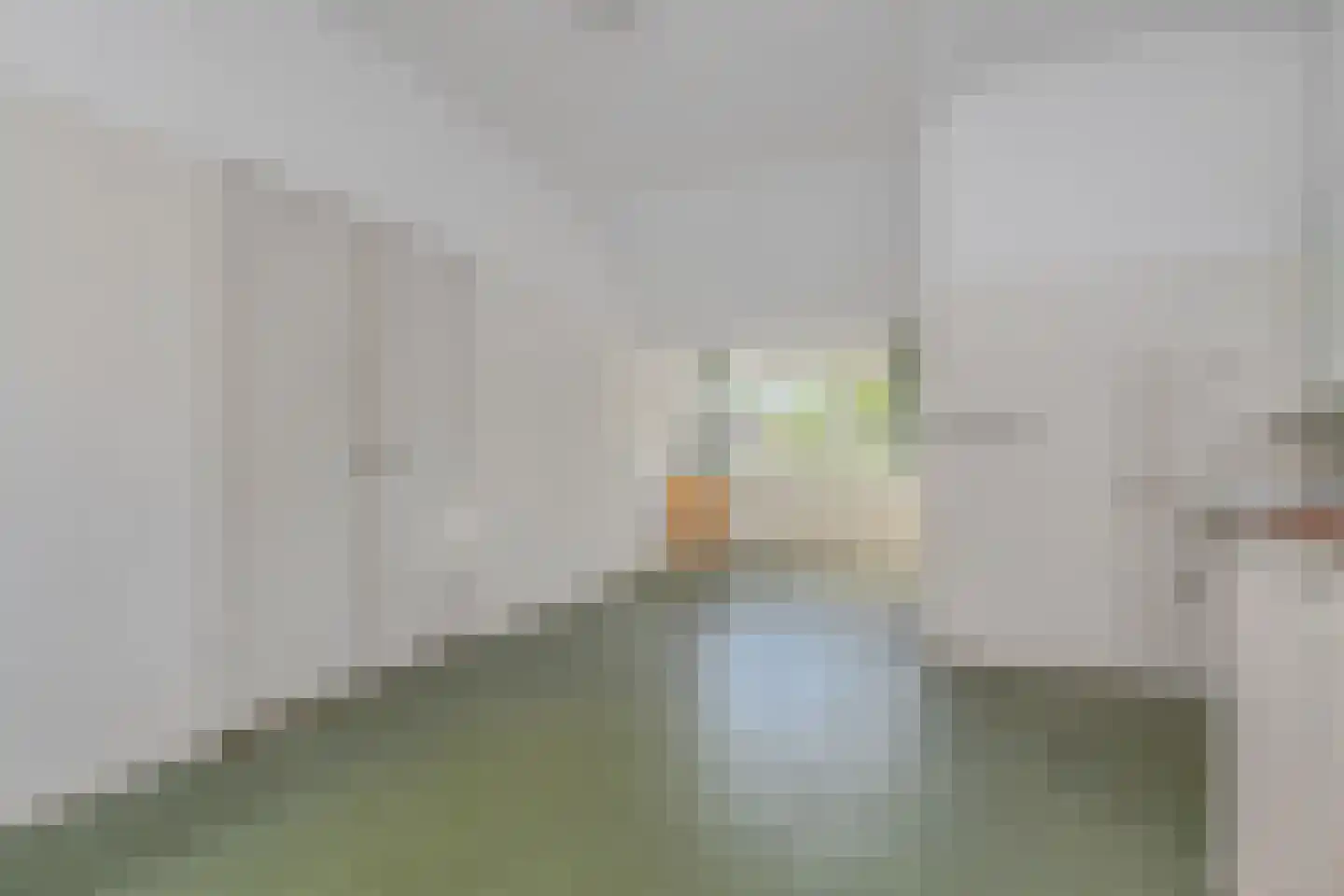 Delftweg 122 Rijswijk thumbnail 31