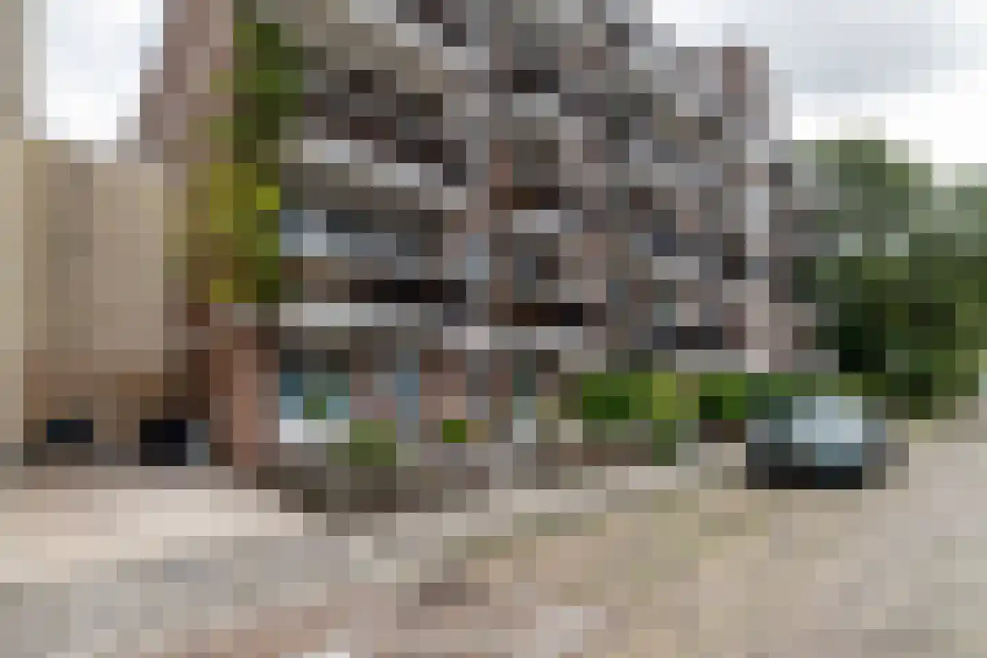 Delftweg 148 Rijswijk thumbnail 23