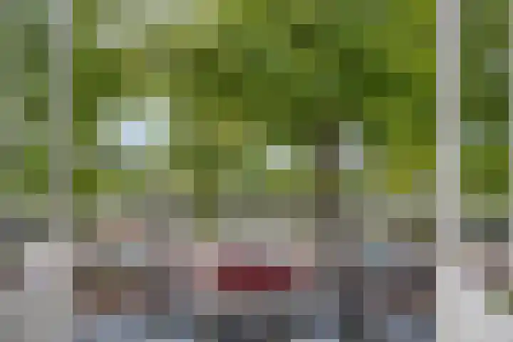 Delftweg 17 Rijswijk thumbnail 18