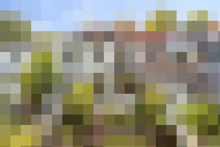 Delftweg 17 Rijswijk thumbnail 34