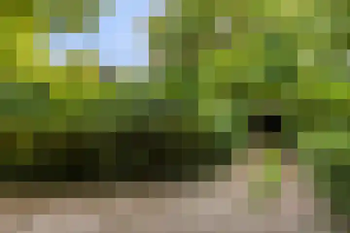 Delftweg 17 Rijswijk thumbnail 38
