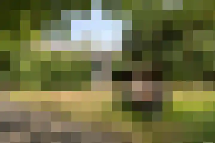 Delftweg 17 Rijswijk thumbnail 40