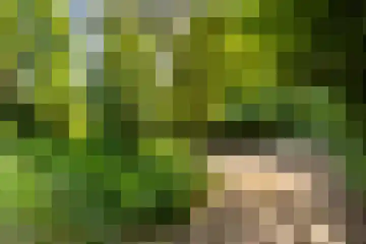 Delftweg 17 Rijswijk thumbnail 41