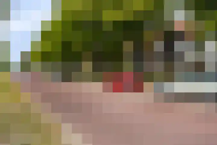 Delftweg 17 Rijswijk thumbnail 42