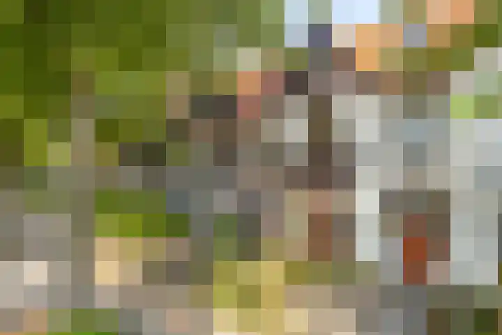 Delftweg 17 Rijswijk thumbnail 6