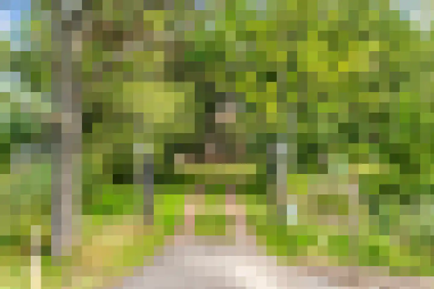Delftweg 254 Rotterdam thumbnail 11