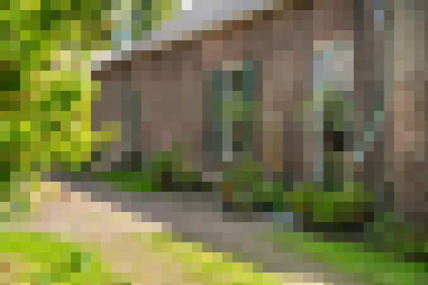 Delftweg 254 Rotterdam thumbnail 15