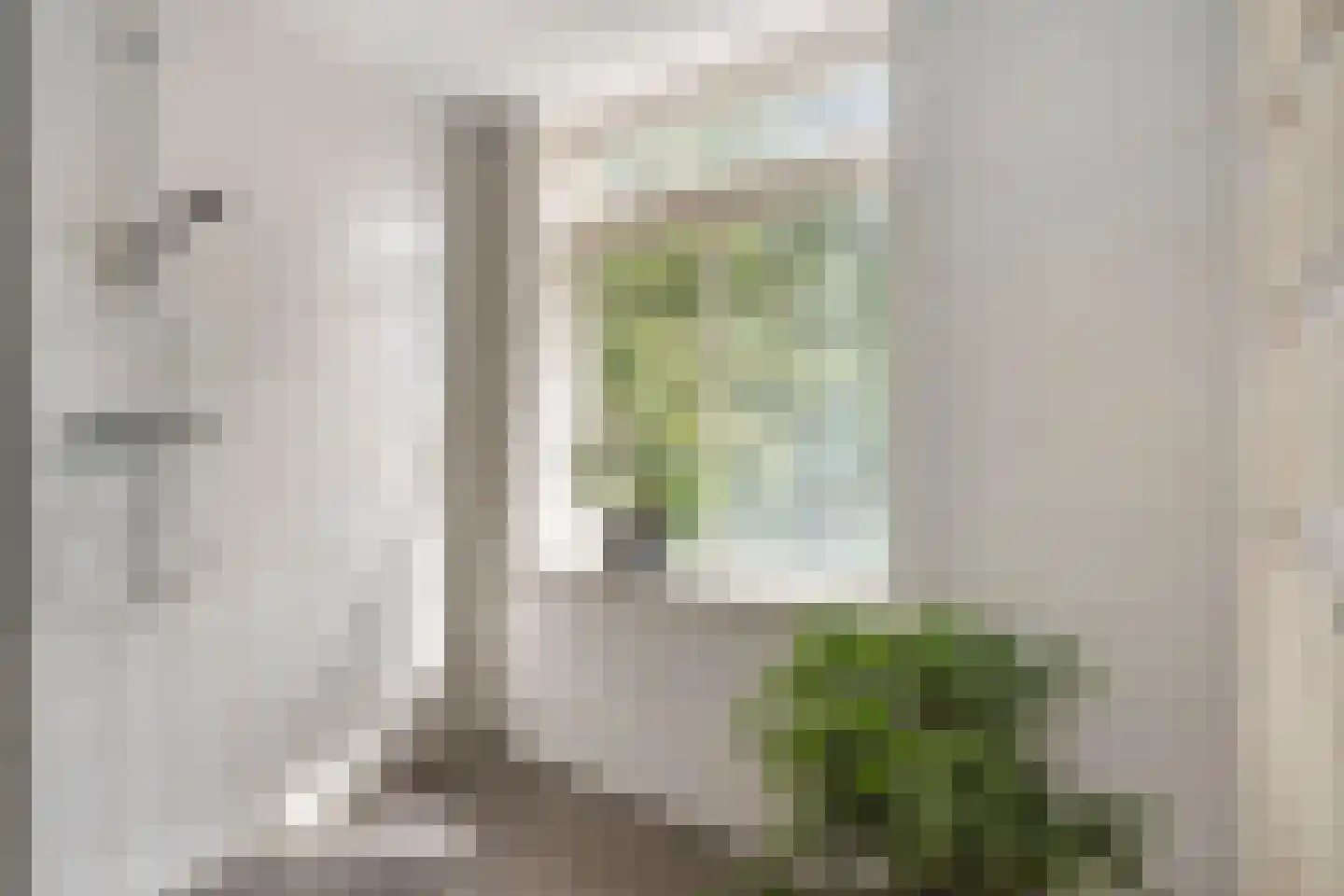 Delftweg 254 Rotterdam thumbnail 27