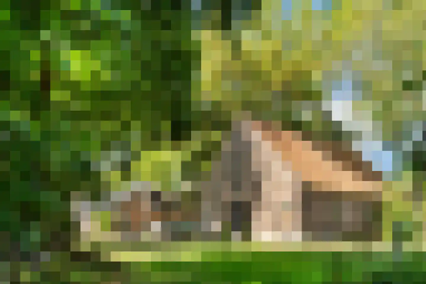 Delftweg 254 Rotterdam thumbnail 44
