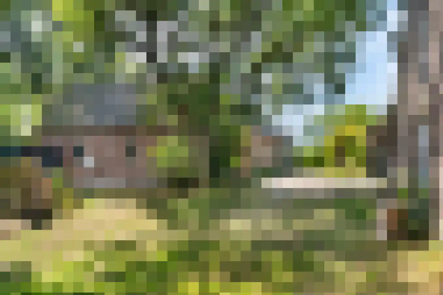 Delftweg 254 Rotterdam thumbnail 55