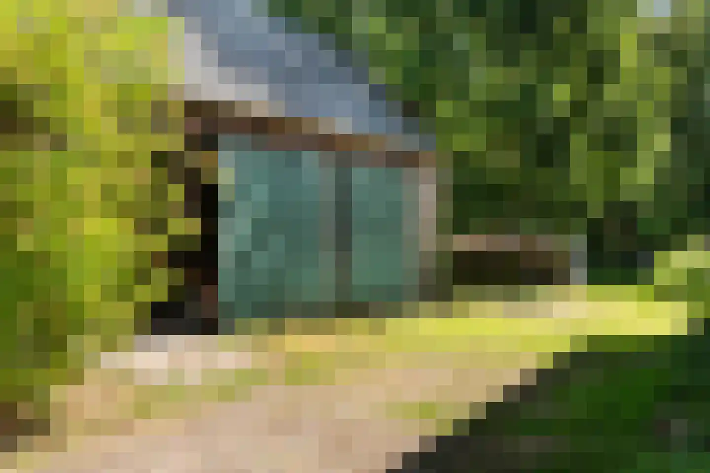 Delftweg 254 Rotterdam thumbnail 58