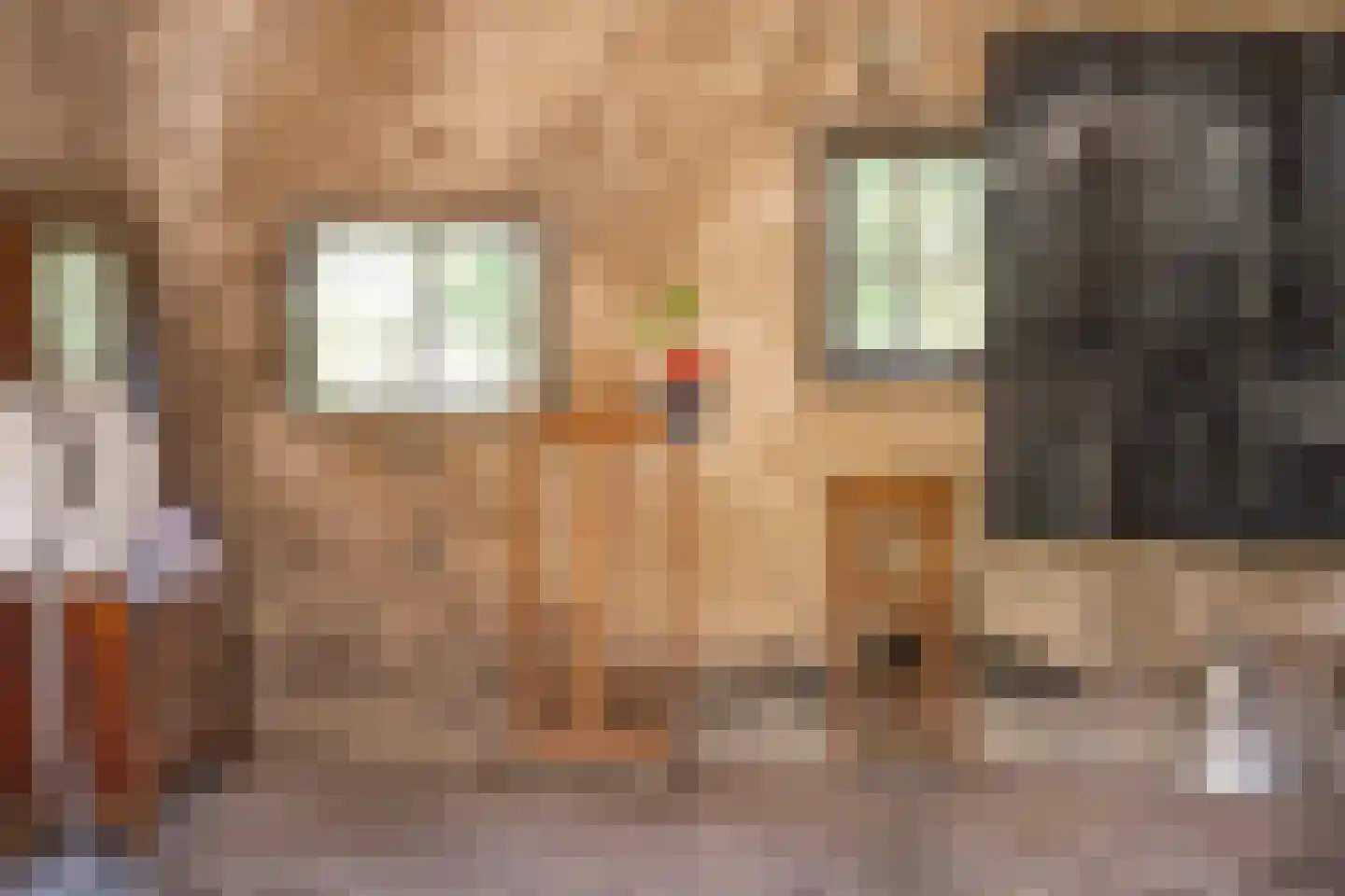 Delftweg 254 Rotterdam thumbnail 60