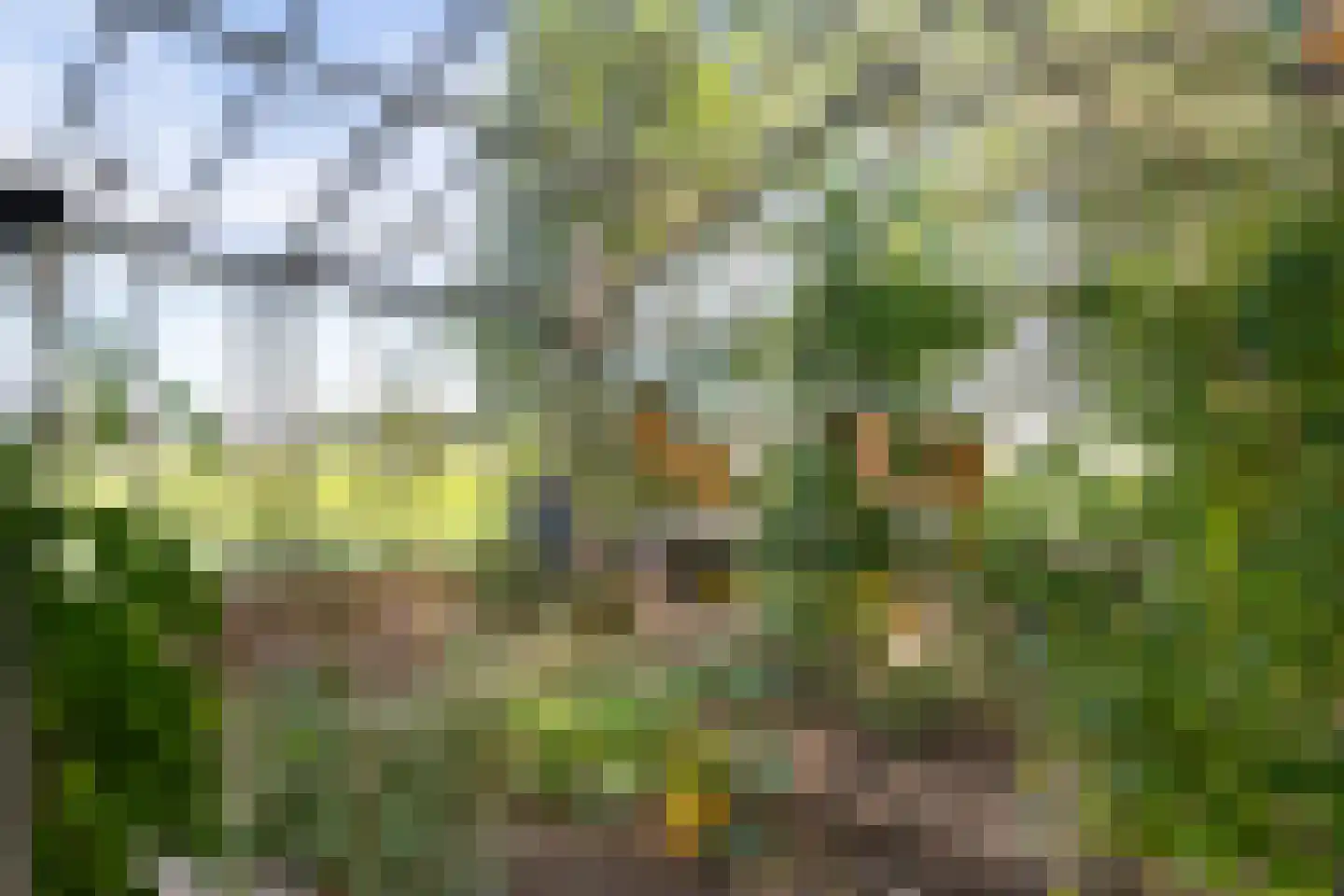 Delftweg 254 Rotterdam thumbnail 65