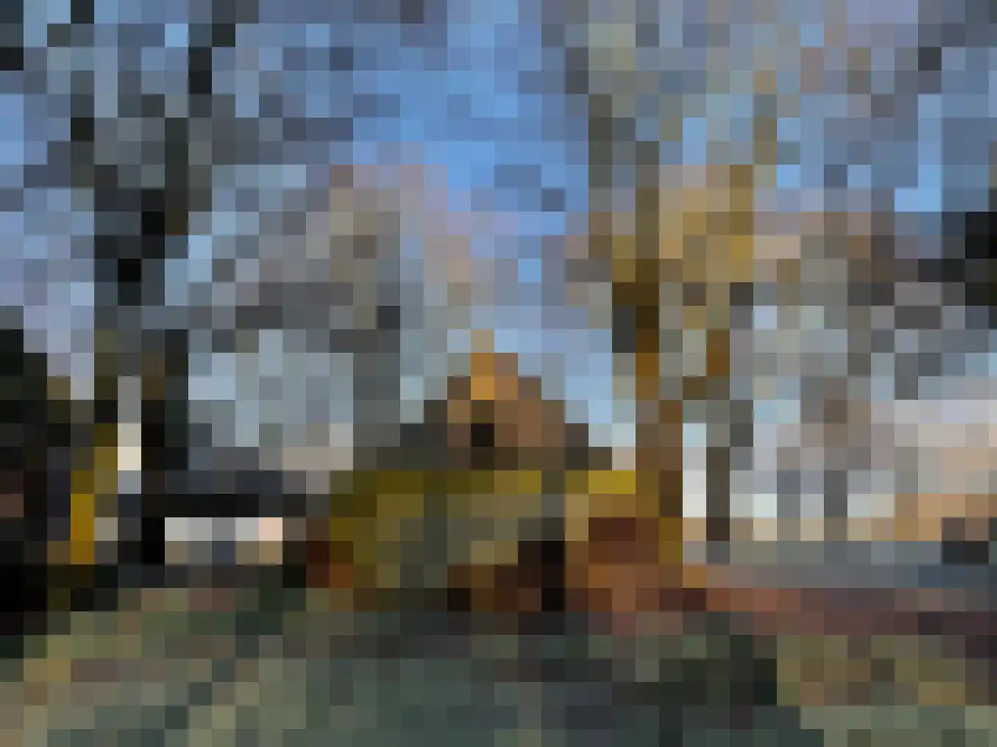 Delftweg 254 Rotterdam thumbnail 66