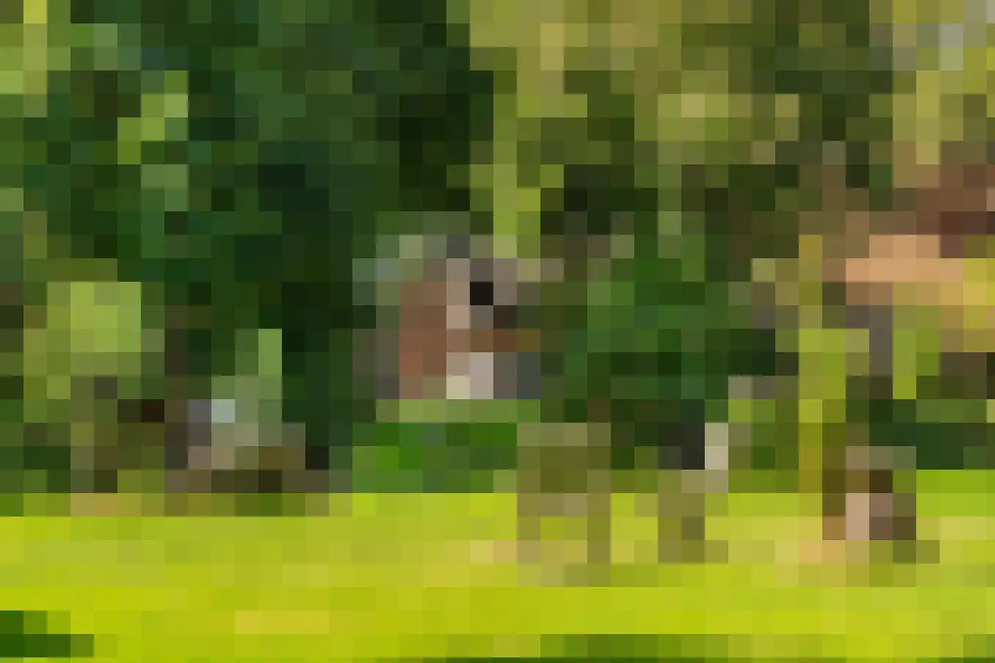 Delftweg 254 Rotterdam thumbnail 68