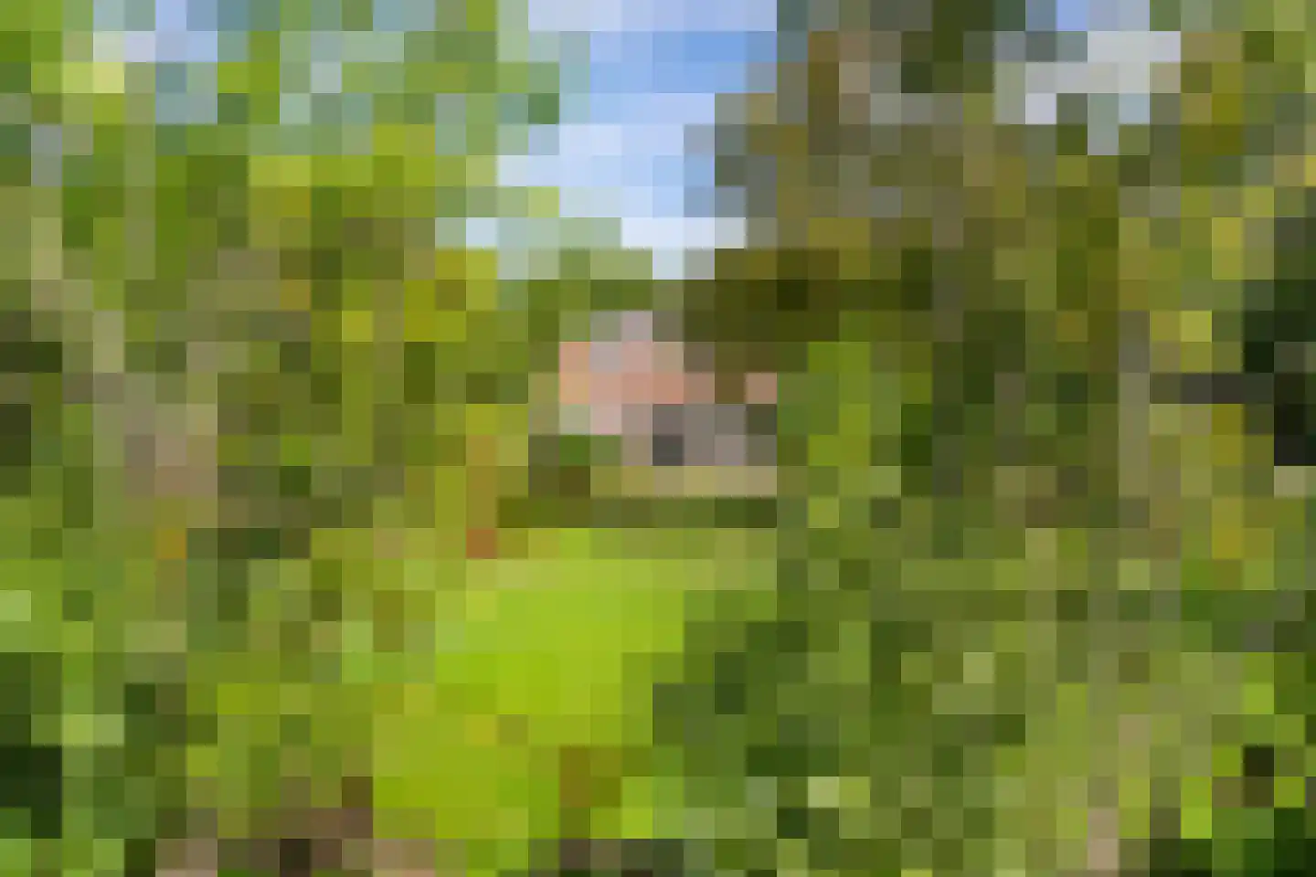 Delftweg 254 Rotterdam thumbnail 7