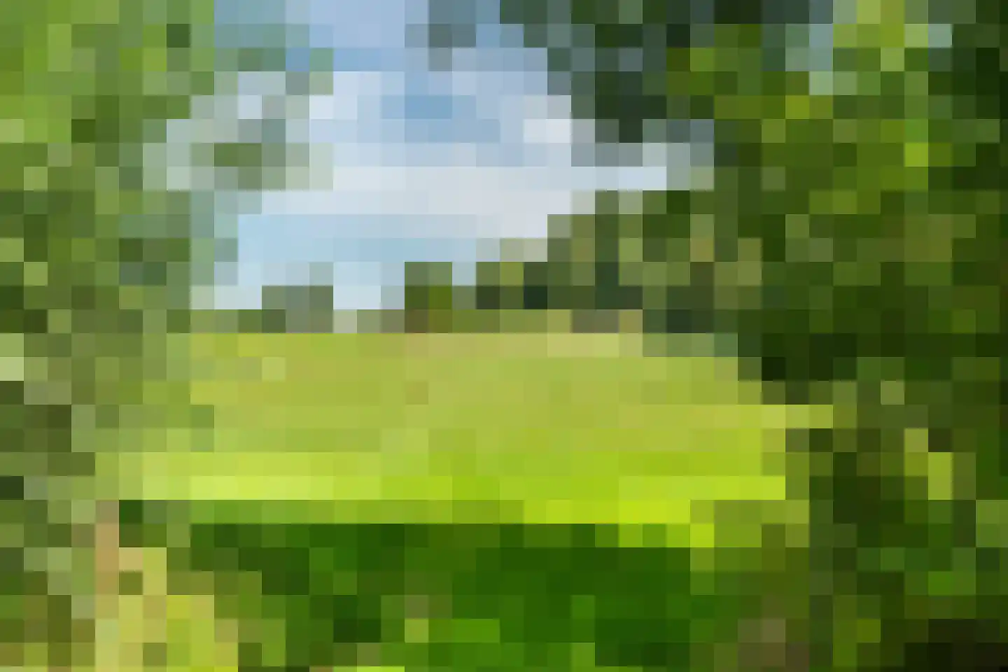 Delftweg 254 Rotterdam thumbnail 70