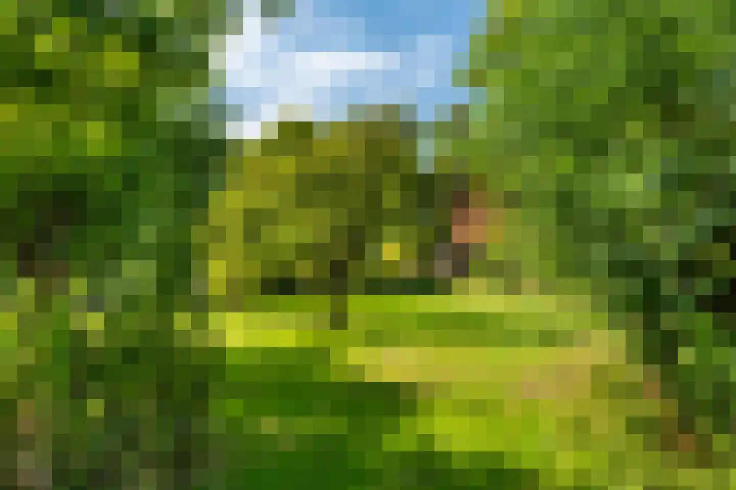 Delftweg 254 Rotterdam thumbnail 71