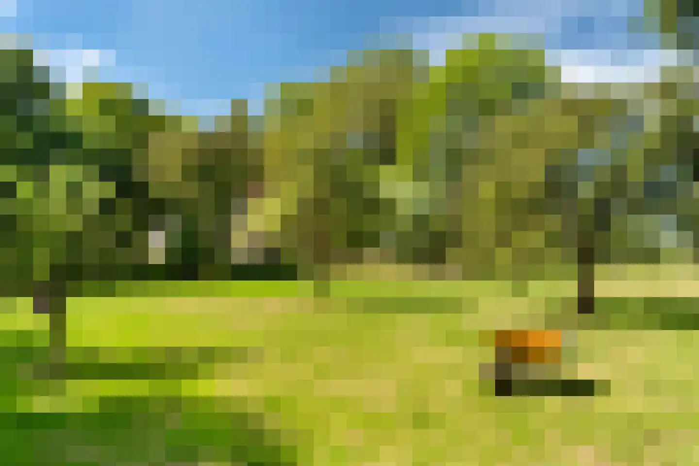 Delftweg 254 Rotterdam thumbnail 72