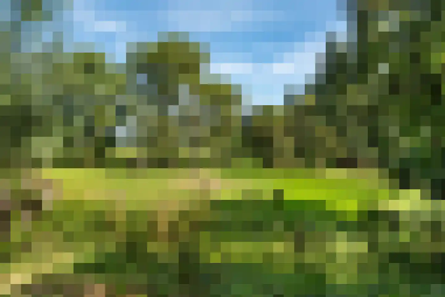 Delftweg 254 Rotterdam thumbnail 73