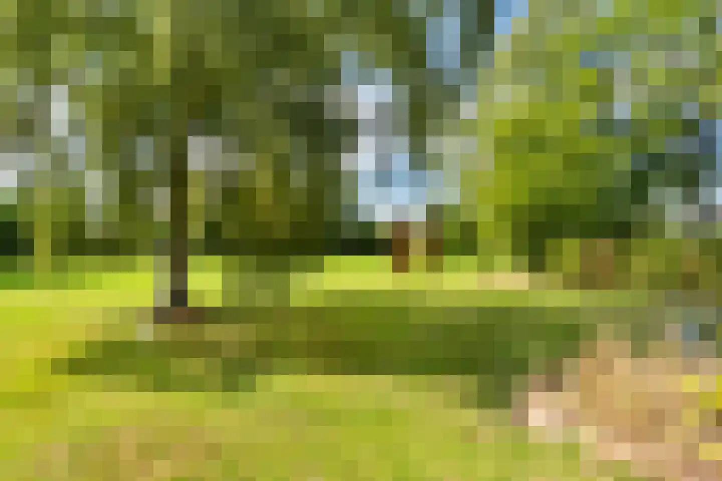 Delftweg 254 Rotterdam thumbnail 74