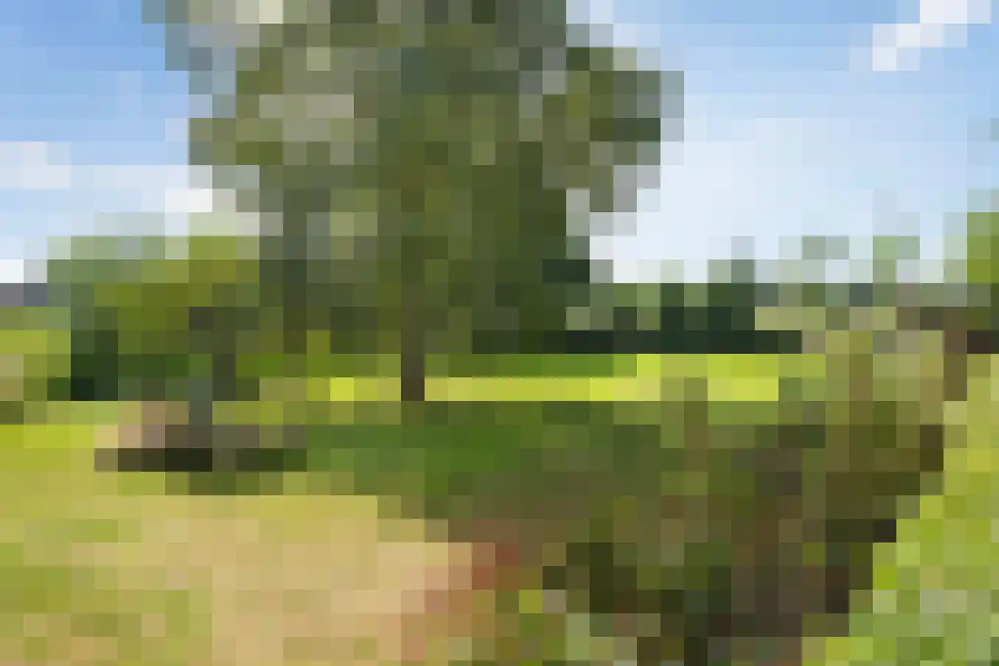 Delftweg 254 Rotterdam thumbnail 75