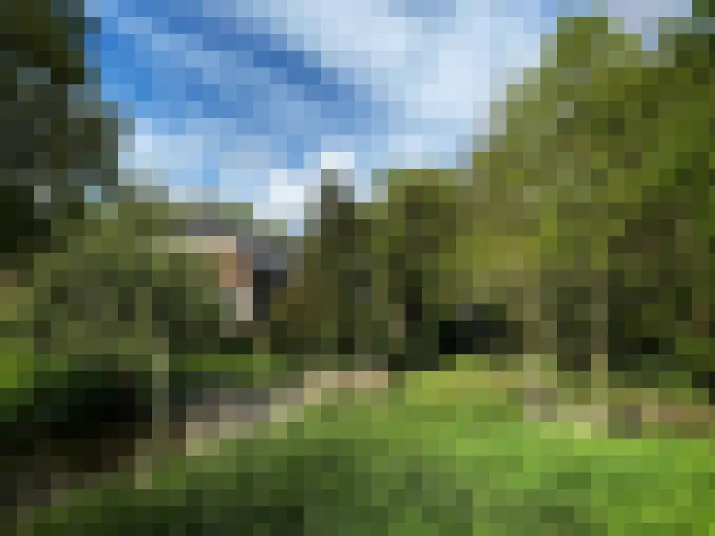 Delftweg 254 Rotterdam thumbnail 78