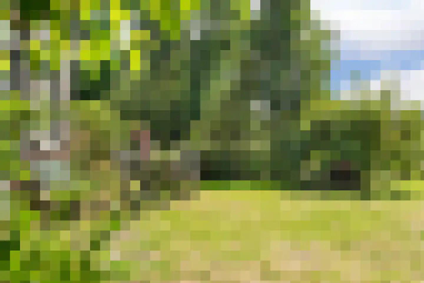 Delftweg 254 Rotterdam thumbnail 8