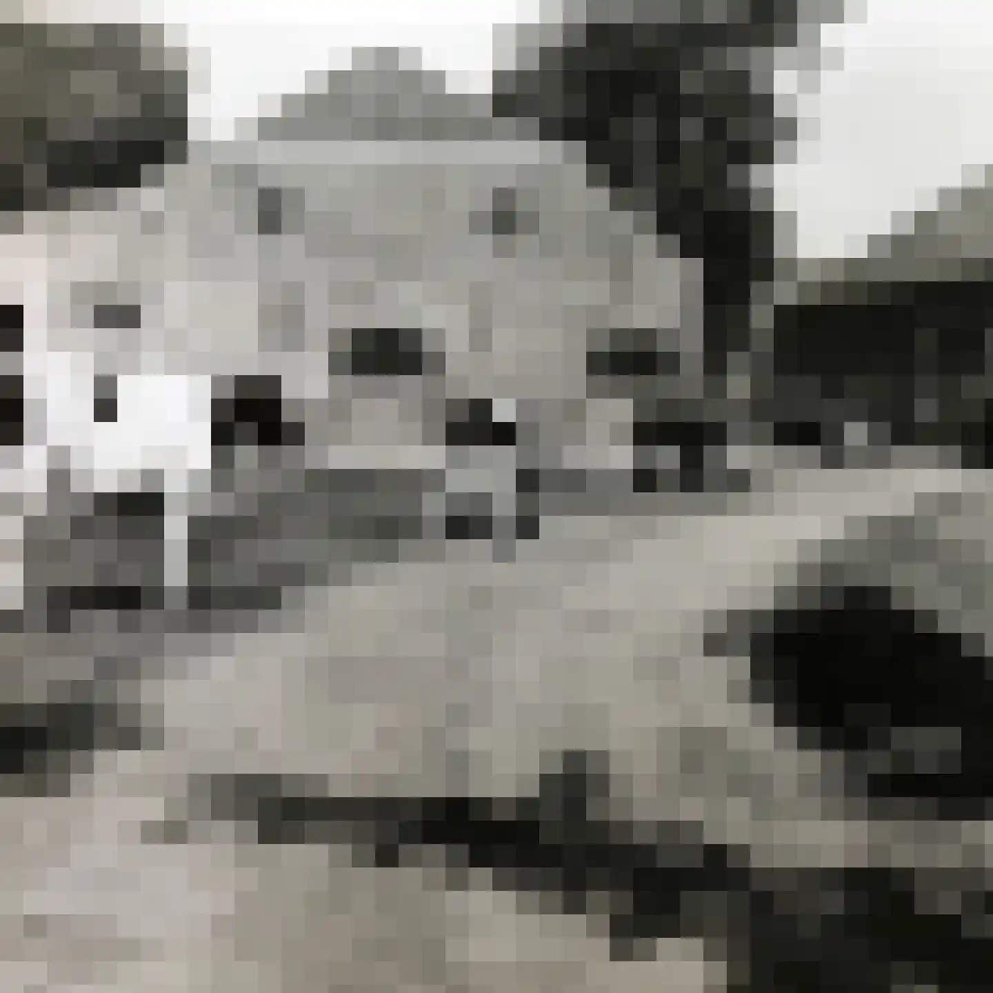 Delftweg 254 Rotterdam thumbnail 83