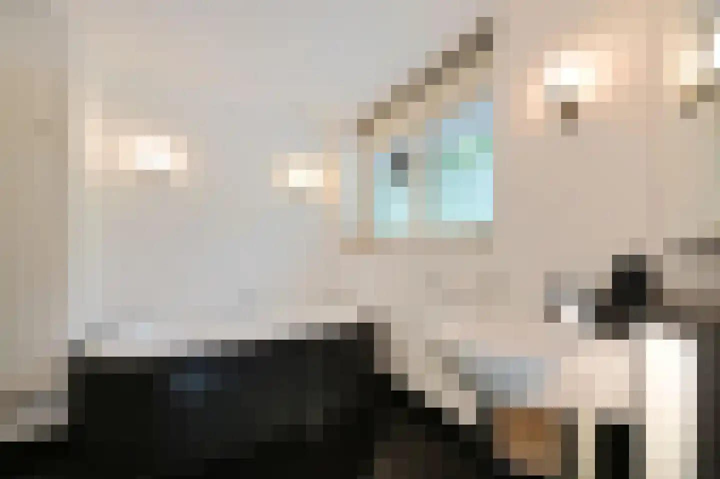 Delftweg 35 c Rijswijk thumbnail 31