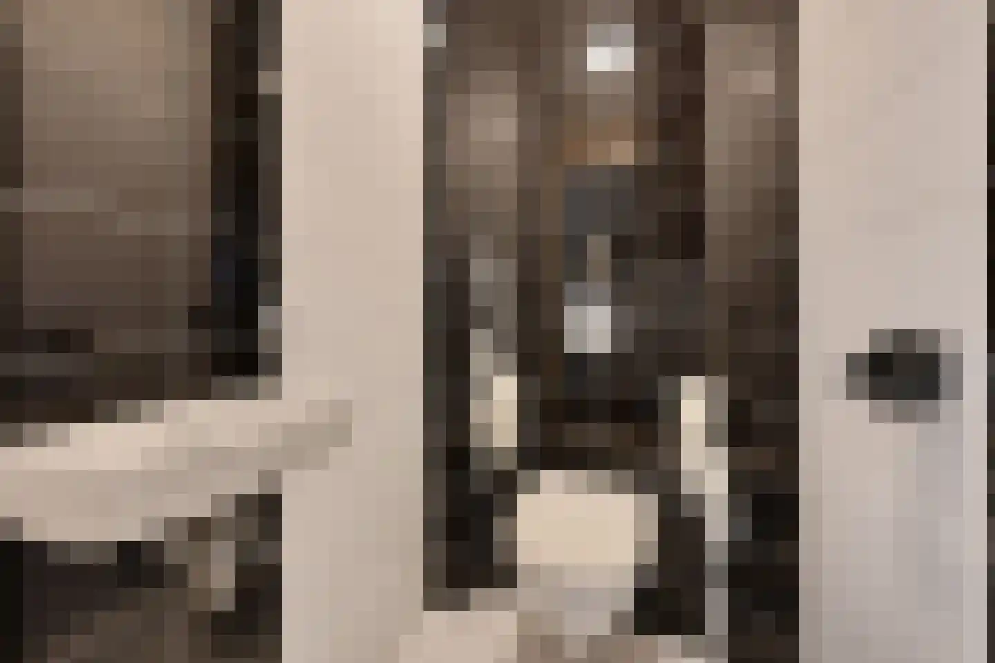 Delftweg 35 c Rijswijk thumbnail 36