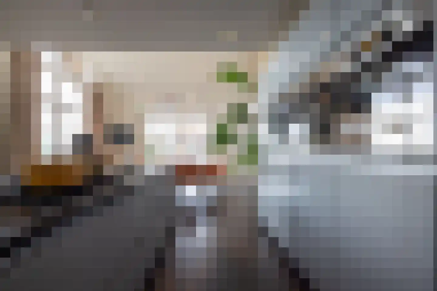 Delftweg 363 Rotterdam thumbnail 15