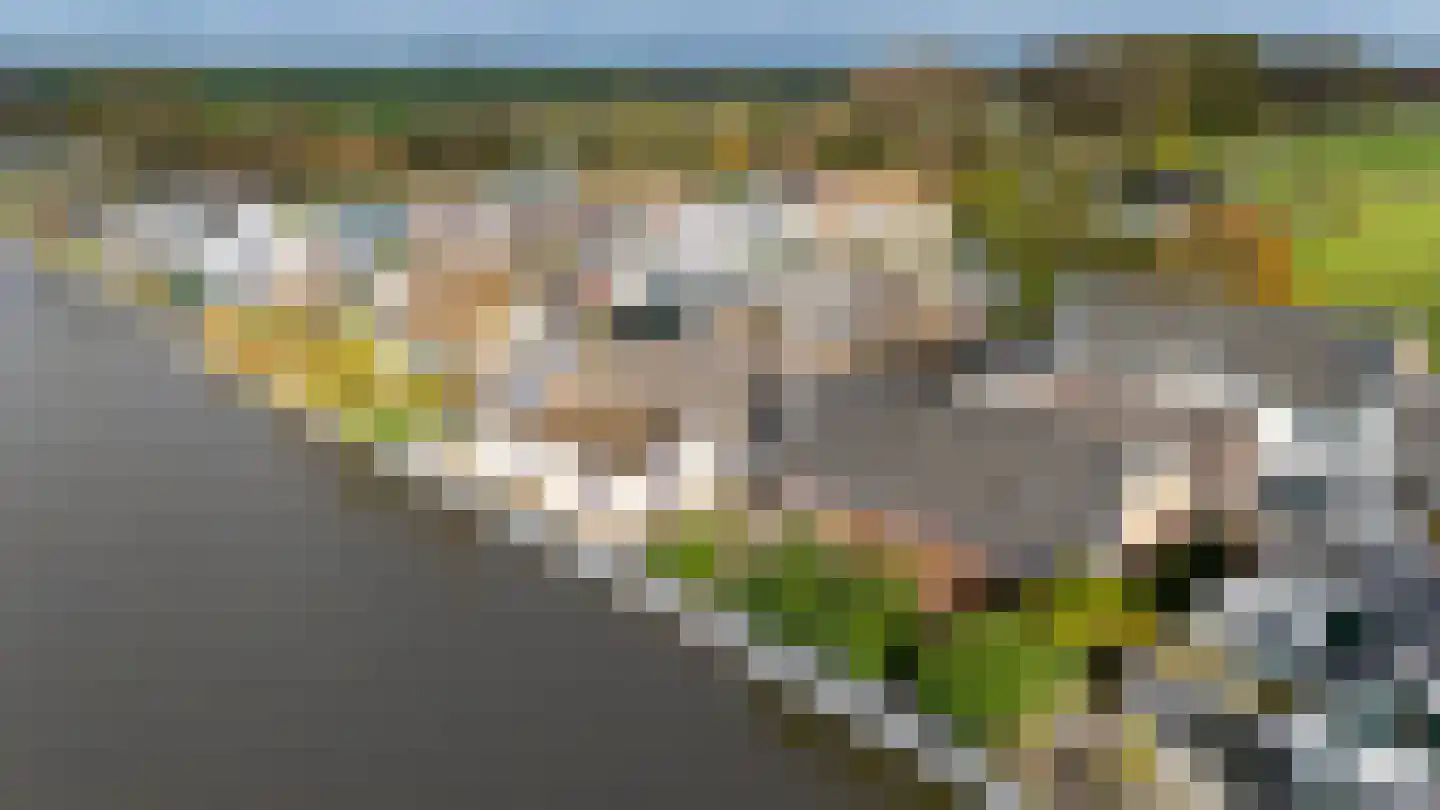Delftweg 363 Rotterdam thumbnail 35