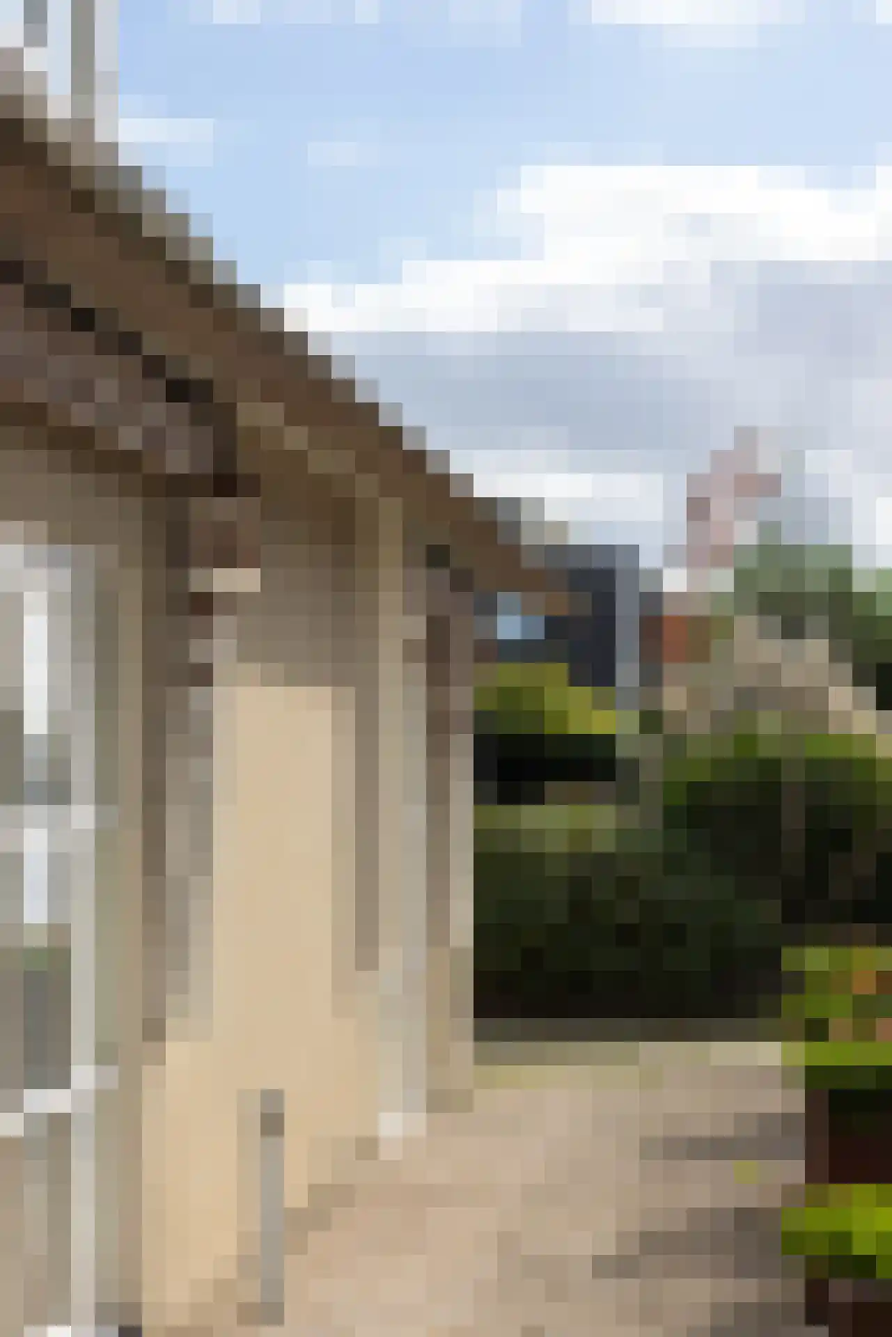 Delftweg 363 Rotterdam thumbnail 45