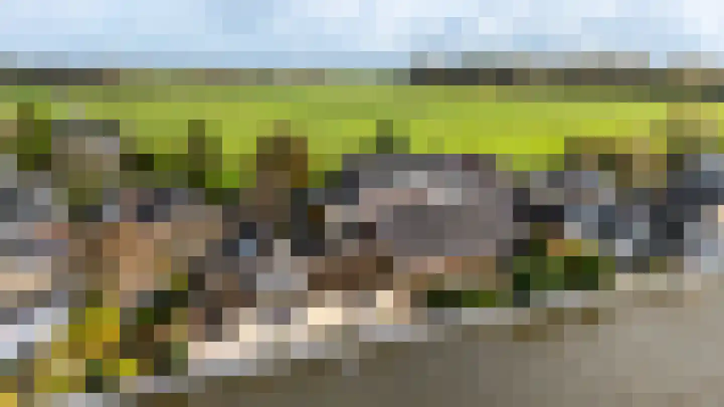 Delftweg 363 Rotterdam thumbnail 6