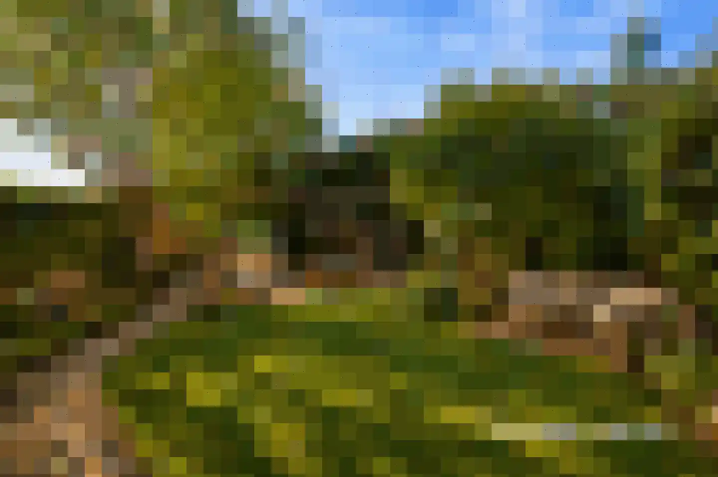 Delftweg 40 Rijswijk thumbnail 28