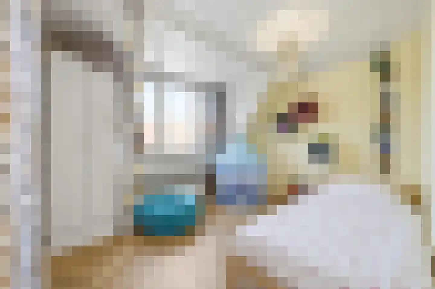 Delftweg 40 Rijswijk thumbnail 35