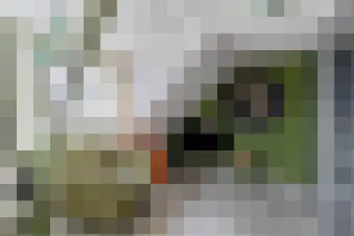 Delfweg 113 Noordwijkerhout thumbnail 22