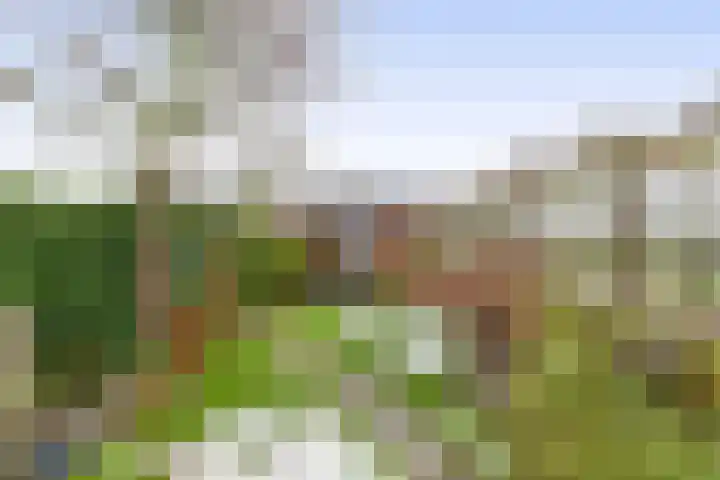 Delfweg 113 Noordwijkerhout thumbnail 32