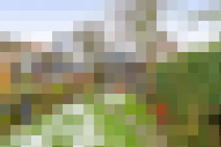 Delfweg 113 Noordwijkerhout thumbnail 34
